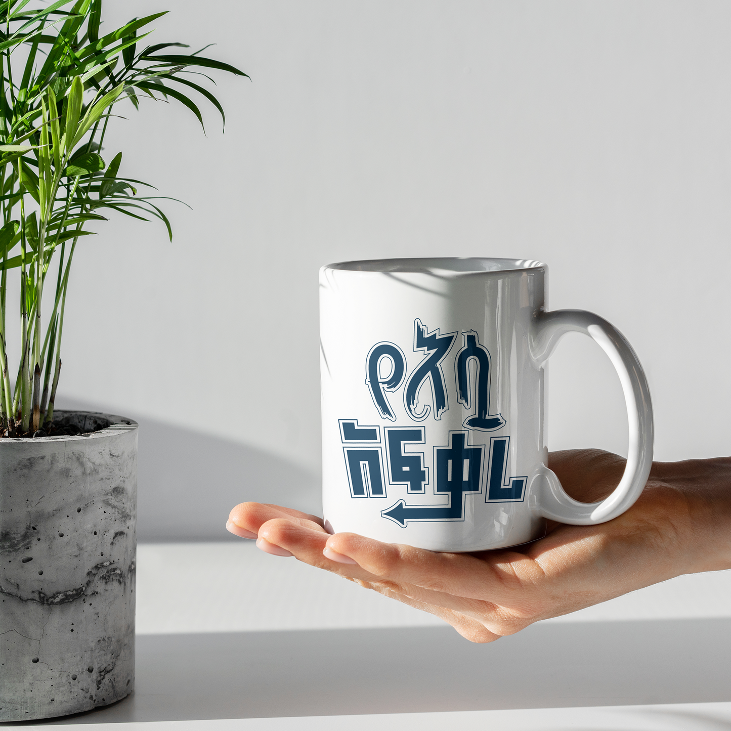 Yesua Afkari  11oz Ceramic Mugs